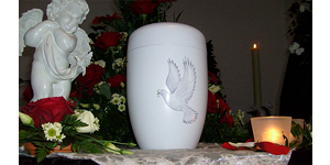Schaufenster