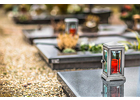 Eigentümer Bilder BeFlor GmbH Fürstenwalde/Spree