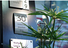 Eigentümer Bilder Kien Sicherheitstechnik GmbH Erkner