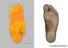 Eigentümer Bilder Orthopädie - Schuh - Technik Wassberg Wolfgang Eberswalde
