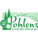 Bambus in Darmstadt jetzt finden!