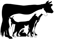 Logo Tierarztpraxis DVM Karsten Beierlein Beeskow