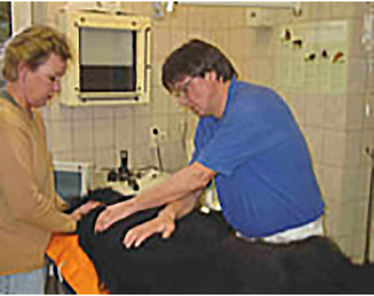 Kundenbild klein 3 Linzer Uwe Dr.med.vet. ambulante Operationen Goldakupunktur