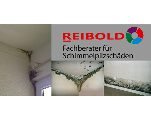 Kundenfoto 6 Malerbetrieb Reibold GmbH