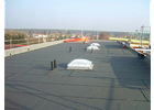 Kundenbild klein 8 Dach Haag