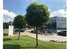Kundenbild groß 3 Weissenfels GmbH