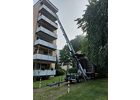 Kundenbild klein 14 Umzüge KTS