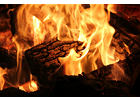 Kundenbild groß 3 Stefans Dach & Holz GmbH Sägewerk u. Holzhandlung