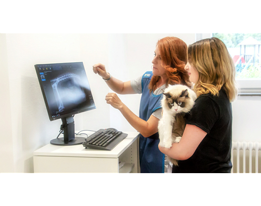 Kundenfoto 3 Tierarztpraxis am Atzelberg Zahnheilkunde und Chirurgie