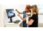Kundenbild groß 3 Tierarztpraxis am Atzelberg Zahnheilkunde und Chirurgie - Dermatologie