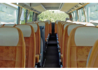 Kundenbild groß 2 Lich Heiko Plus Bus Tours