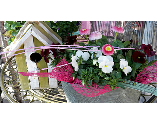 Kundenfoto 3 Blumen Bauer