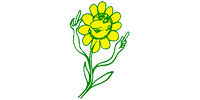 Kundenlogo von Blumen Kimmel GbR