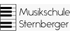 Kundenlogo von Musikschule Sternberger