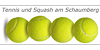 Kundenlogo von Sportzentrum Schaumberg Tennis, Squash, Bistro