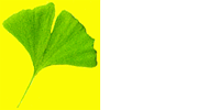 Kundenlogo von Braun Alexandra Dr.rer.nat.