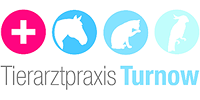 Kundenlogo von Tierärztin D. Judis