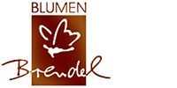 Kundenlogo von Blumen Brendel