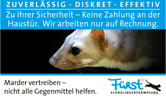 fuerst Schaedling