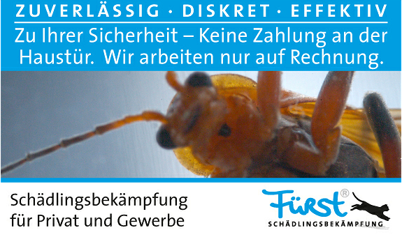 fuerst Schaedling