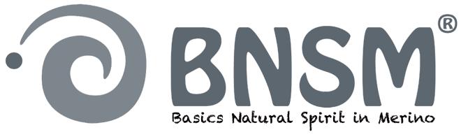 Logo BNSM GmbH Bensheim
