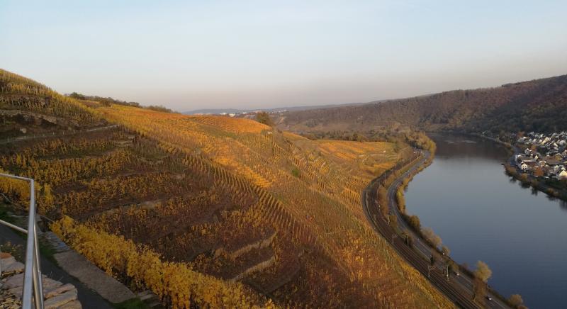 Kundenbild groß 5 Doetsch Bernd Touren & Gästeführungen in Koblenz, an Rhein und Mosel