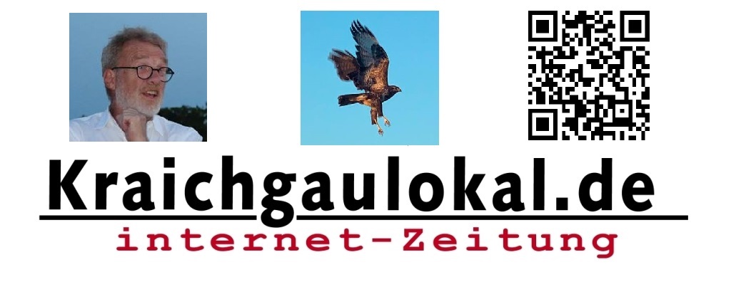 Logo Kraichgaulokal Dielheim