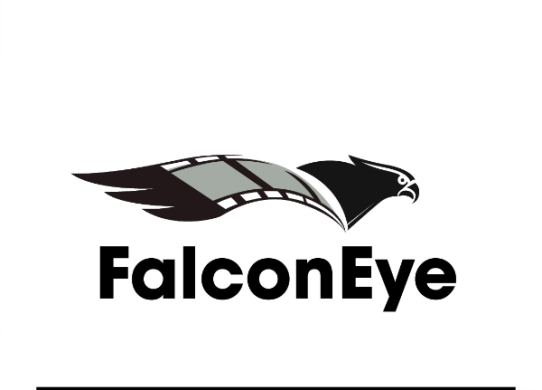 Logo Falcon Eye FPV Drohnen Videos für Events und Unternehmen Saarbrücken
