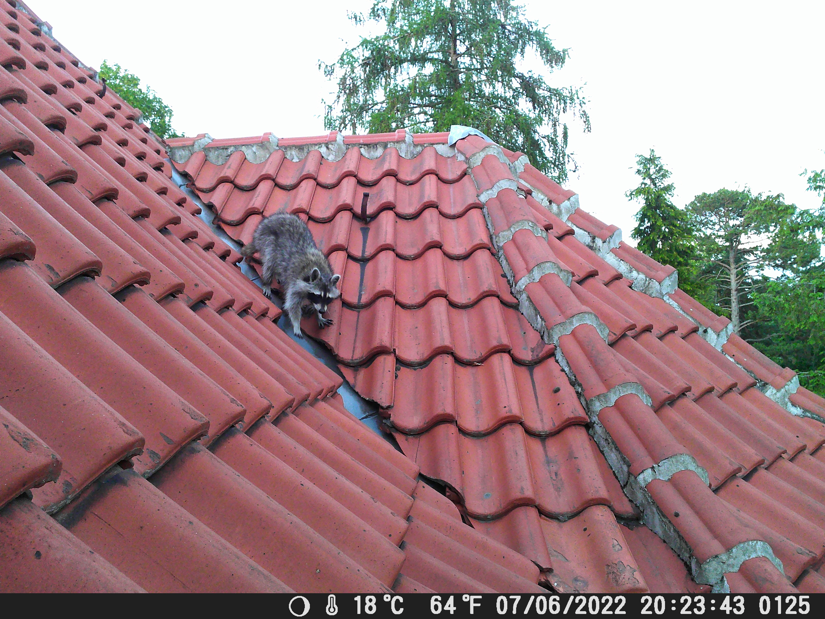 Bild 3 Bild 3